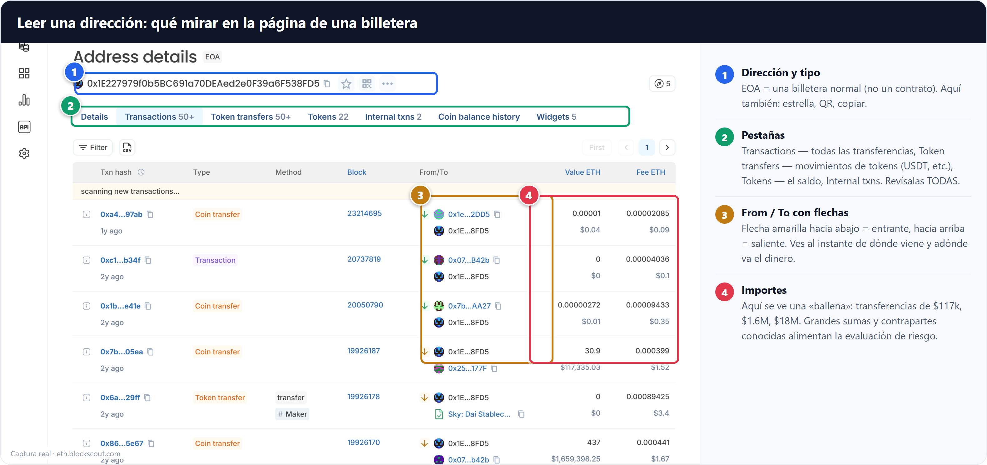 Wallet address page breakdown